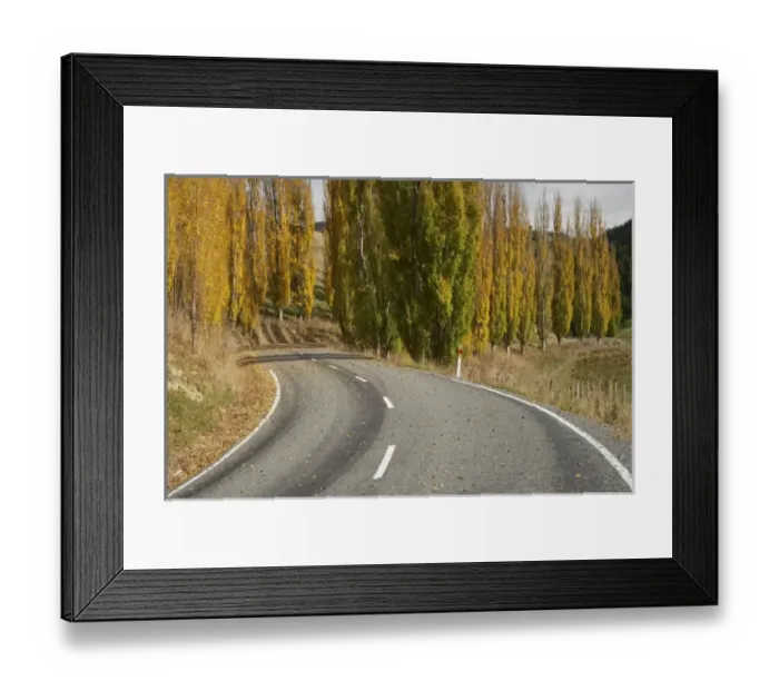 Framed Print : New Zealand Framed Print : New Zealand