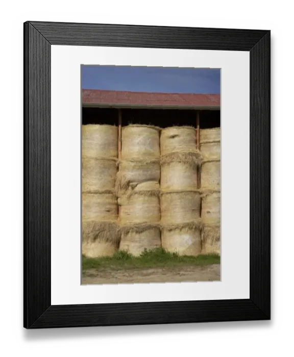 Framed Print : New Zealand Framed Print : New Zealand