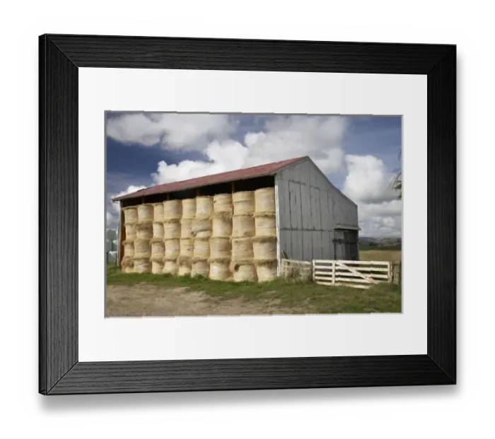 Framed Print : New Zealand Framed Print : New Zealand