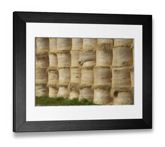 Framed Print : New Zealand Framed Print : New Zealand