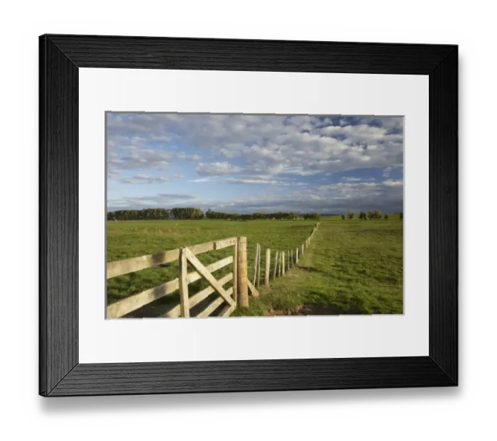 Framed Print : New Zealand Framed Print : New Zealand