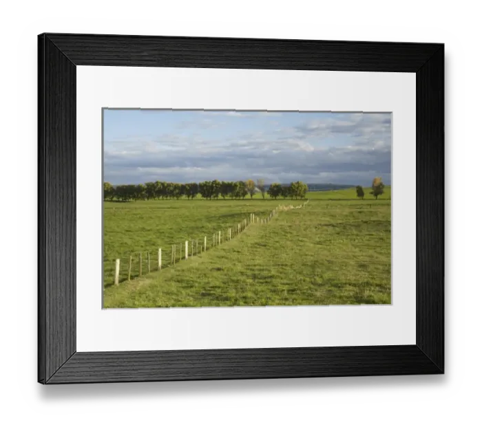 Framed Print : New Zealand Framed Print : New Zealand