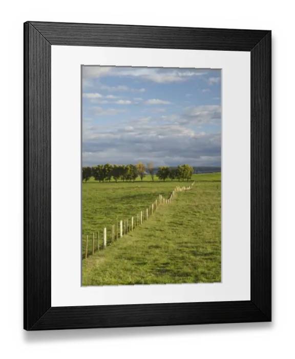 Framed Print : New Zealand Framed Print : New Zealand