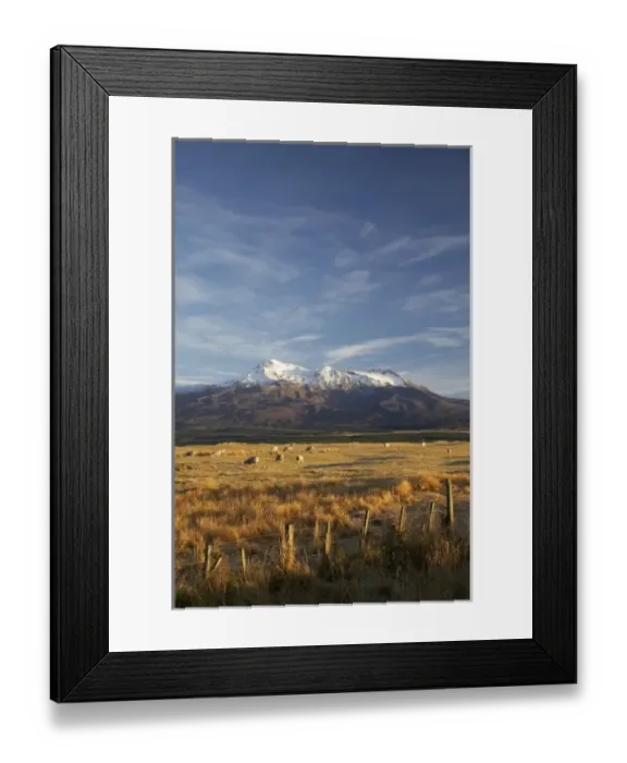 Framed Print : Early Light, Mt Ruapehu, Tongariro National Park, Central Plateau, North Island Framed Print : Early Light, Mt Ruapehu, Tongariro National Park, Central Plateau, North Island