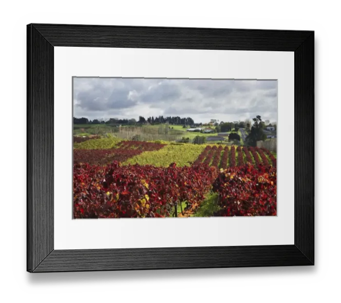Framed Print : New Zealand Framed Print : New Zealand