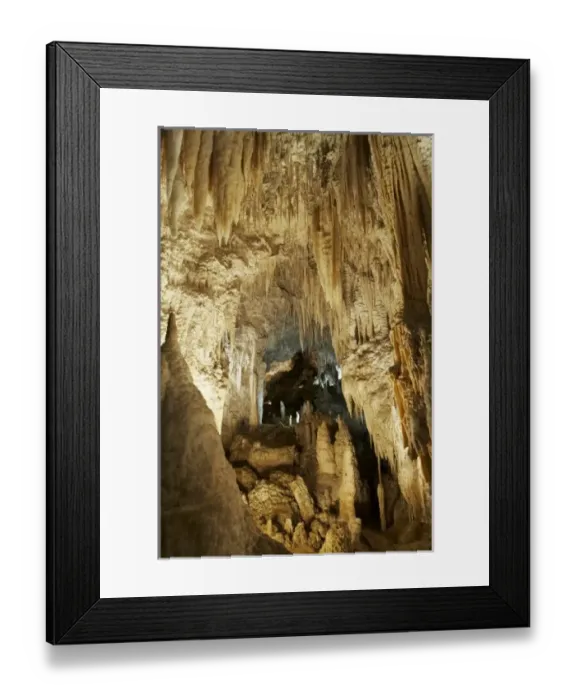 Framed Print : New Zealand
