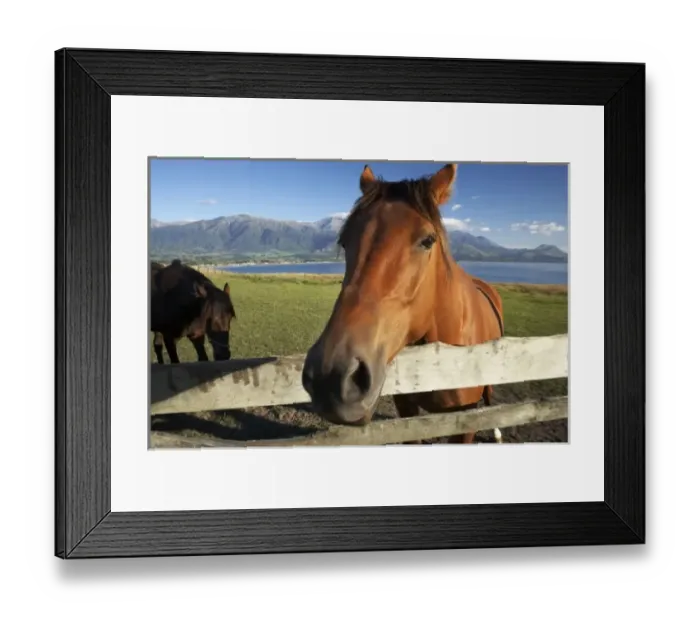 Framed Print : New Zealand Framed Print : New Zealand