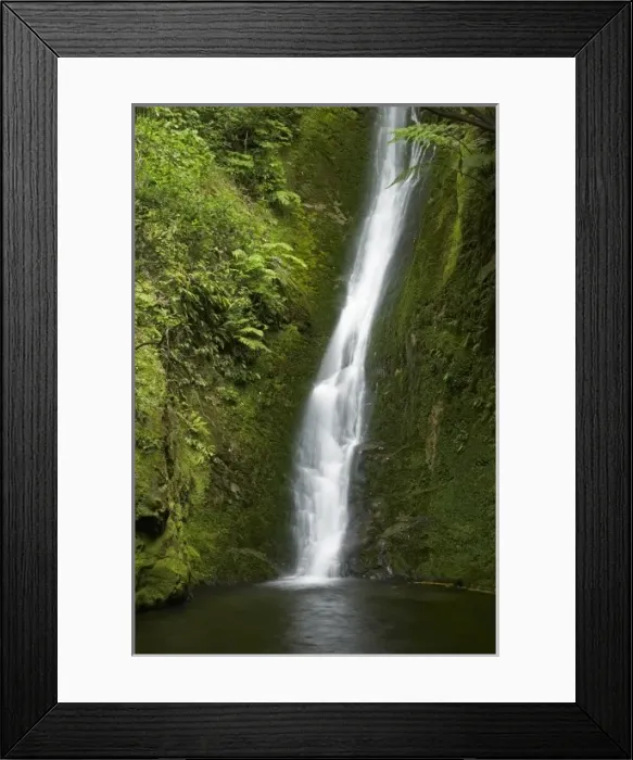 Framed Print : New Zealand Framed Print : New Zealand