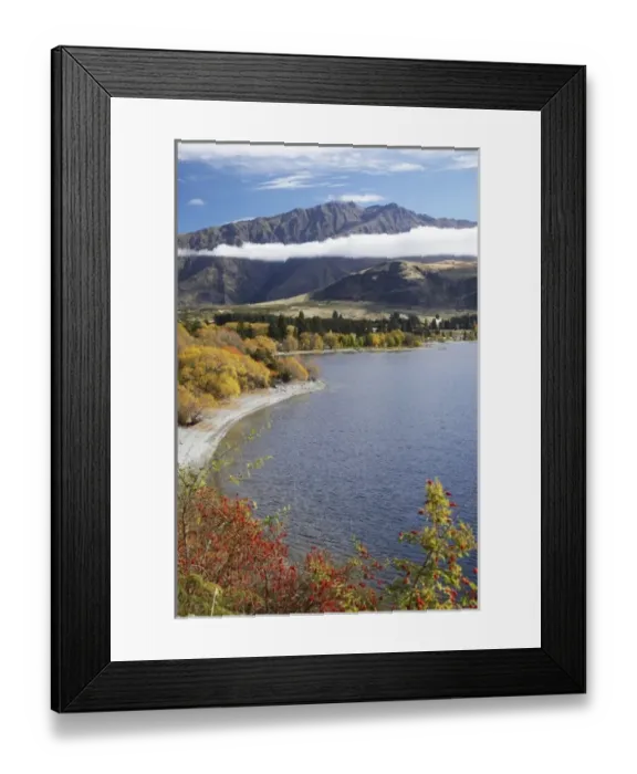 Framed Print : Glendhu Bay, Lake Wanaka, Otago, South Island, New Zealand Framed Print : Glendhu Bay, Lake Wanaka, Otago, South Island, New Zealand