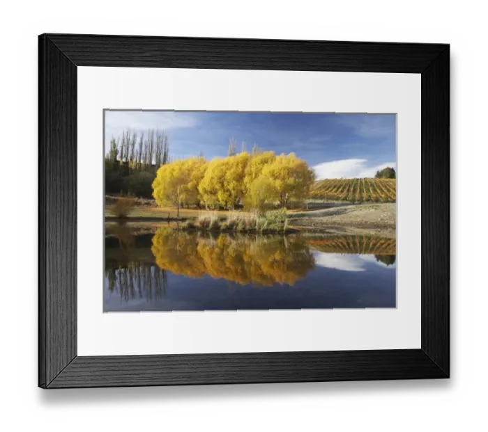 Framed Print : New Zealand Framed Print : New Zealand
