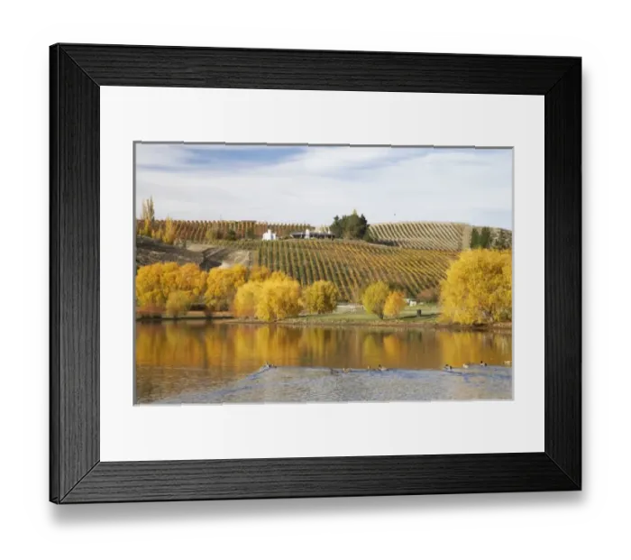 Framed Print : New Zealand