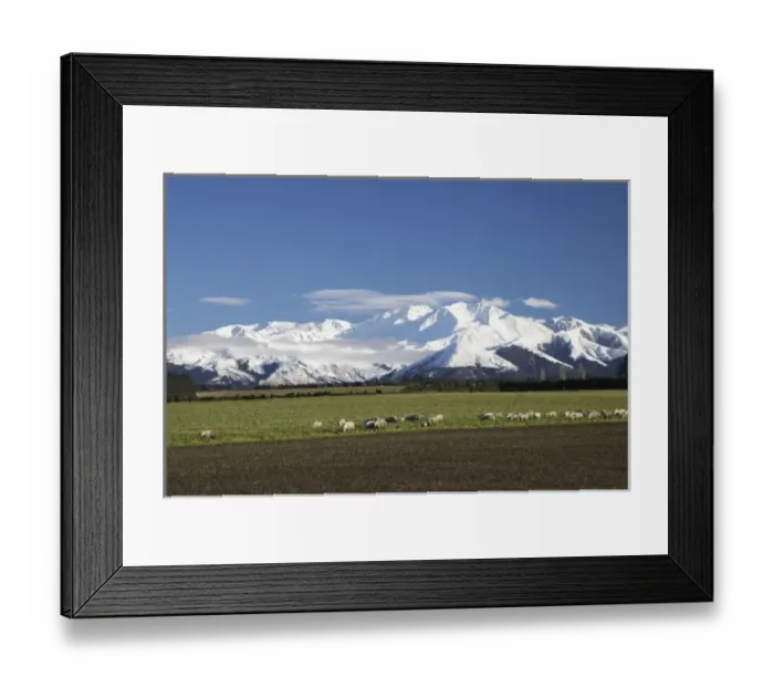 Framed Print : Farmland near Methven and Winterslow Range, Mid Canterbury, South Island, New Zealand Framed Print : Farmland near Methven and Winterslow Range, Mid Canterbury, South Island, New Zealand