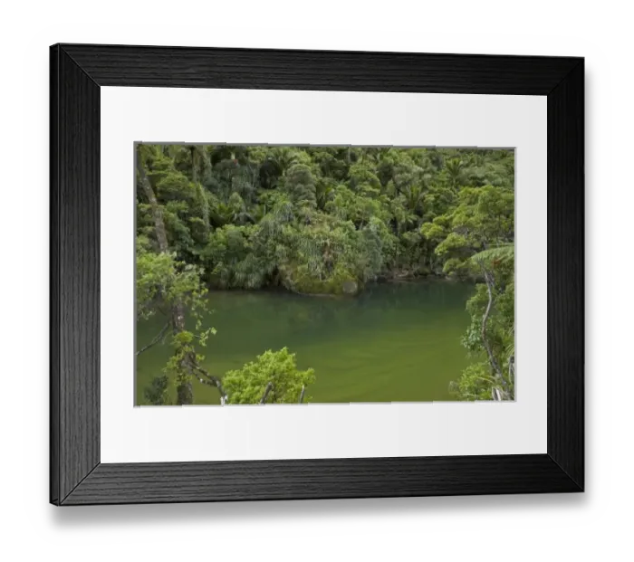 Framed Print : New Zealand Framed Print : New Zealand