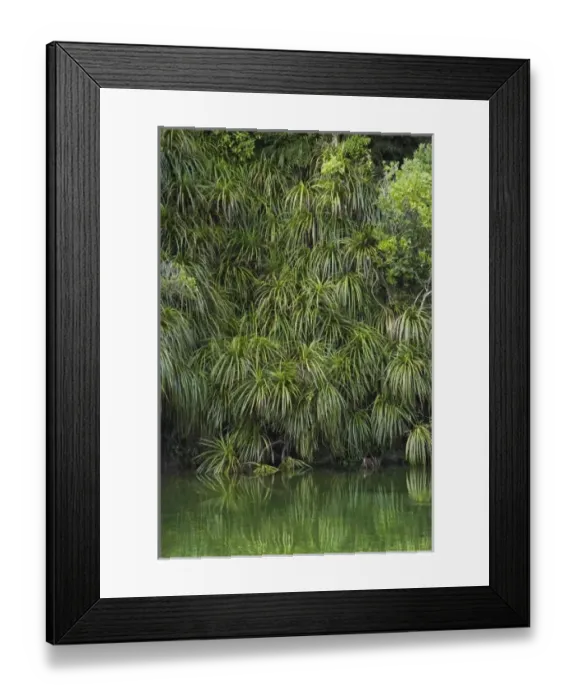 Framed Print : New Zealand