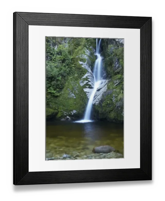 Framed Print : Dorothy Falls, near Lake Kaniere, West Coast, South Island, New Zealand Framed Print : Dorothy Falls, near Lake Kaniere, West Coast, South Island, New Zealand