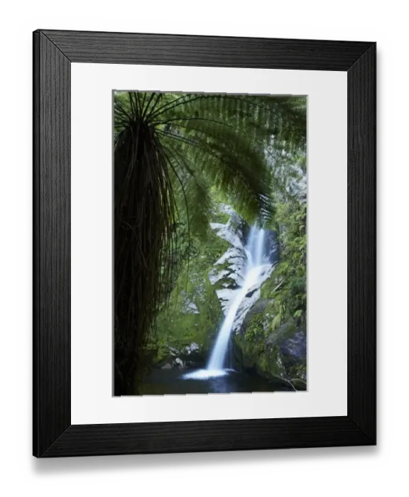 Framed Print : Dorothy Falls, near Lake Kaniere, West Coast, South Island, New Zealand Framed Print : Dorothy Falls, near Lake Kaniere, West Coast, South Island, New Zealand