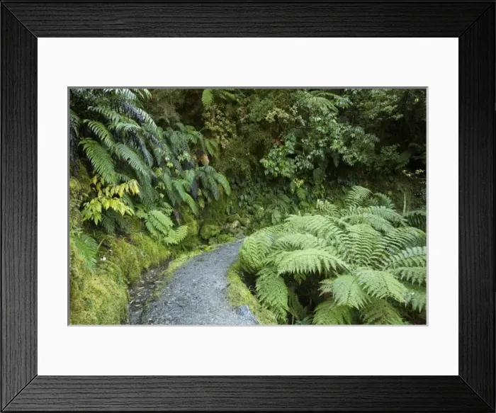 Framed Print : New Zealand Framed Print : New Zealand