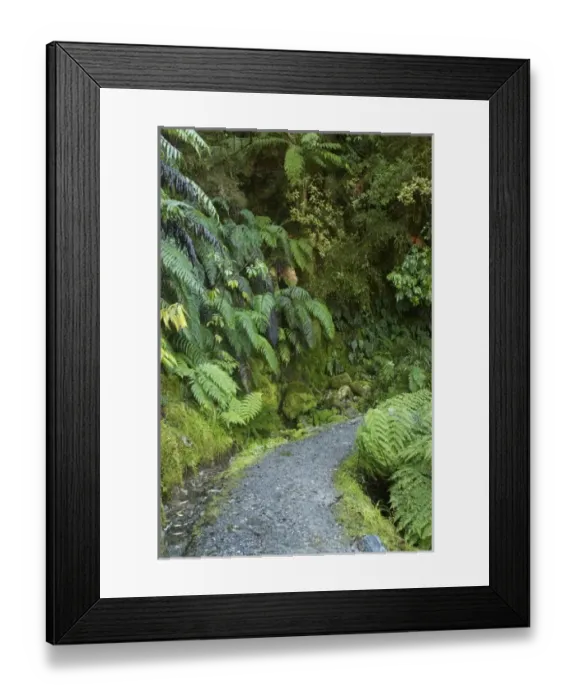 Framed Print : New Zealand Framed Print : New Zealand