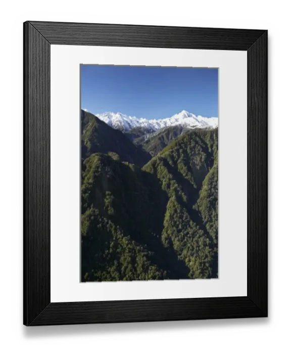 Framed Print : Forest and Southern Alps nesr Franz Josef Glacier, West Coast, South Island, New Framed Print : Forest and Southern Alps nesr Franz Josef Glacier, West Coast, South Island, New