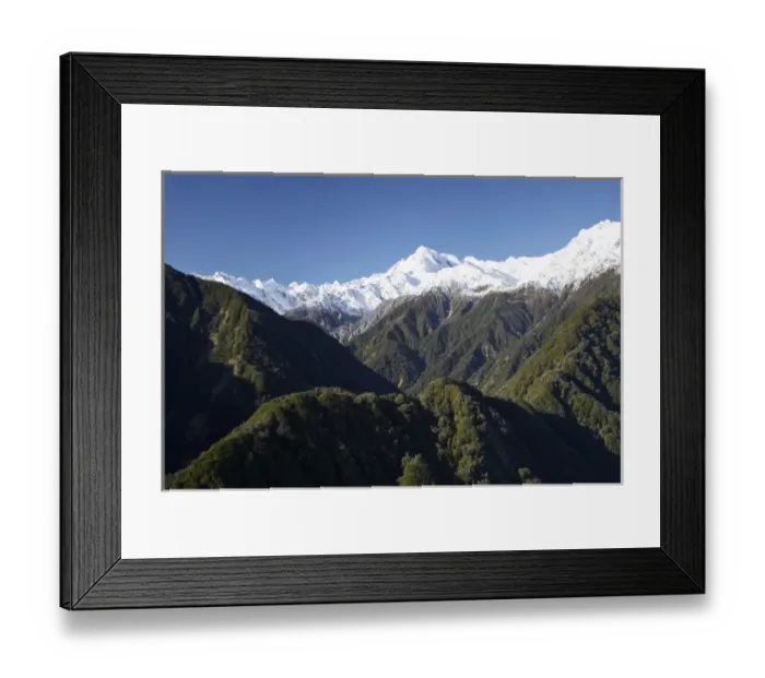 Framed Print : Forest and Southern Alps nesr Franz Josef Glacier, West Coast, South Island, New Framed Print : Forest and Southern Alps nesr Franz Josef Glacier, West Coast, South Island, New