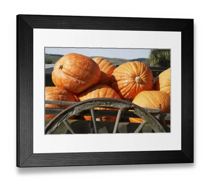 Framed Print : New Zealand Framed Print : New Zealand