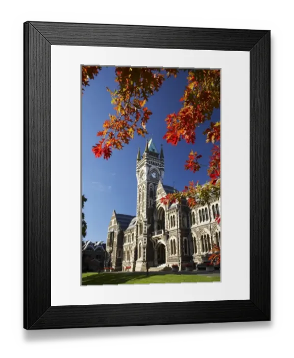 Framed Print : Clock Tower, Registry Building, University of Otago in Autumn, Dunedin, South Island Framed Print : Clock Tower, Registry Building, University of Otago in Autumn, Dunedin, South Island