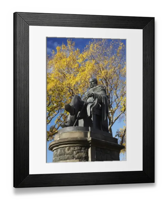 Framed Print : New Zealand