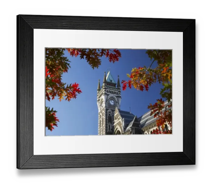 Framed Print : Clock Tower, Registry Building, University of Otago in Autumn, Dunedin, South Island