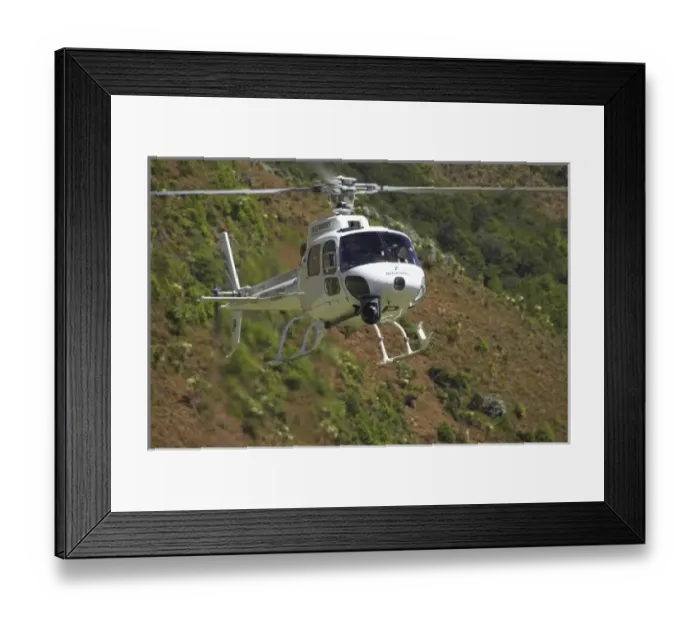 Framed Print : New Zealand