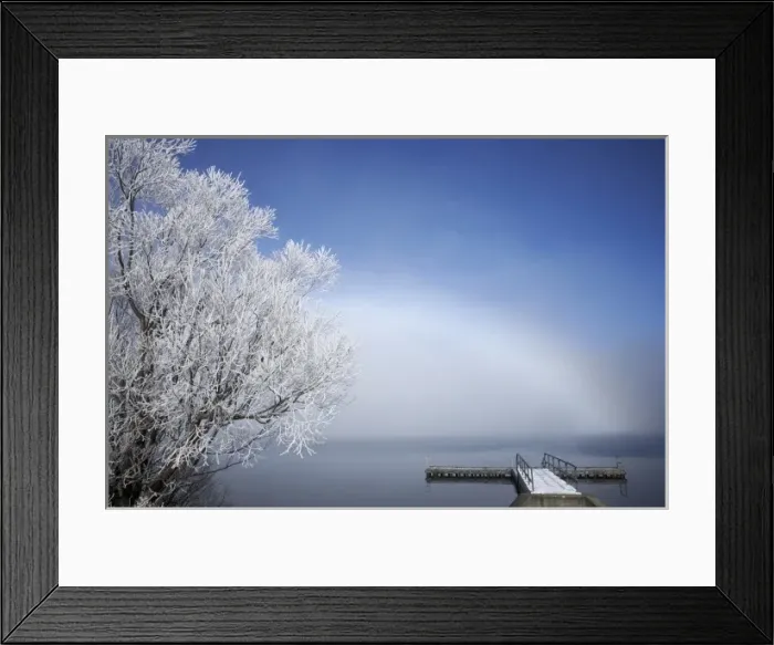 Framed Print : Willow Tree and Jetty in Hoar Frost, Lake Ohau, Mackenzie Country, South Island Framed Print : Willow Tree and Jetty in Hoar Frost, Lake Ohau, Mackenzie Country, South Island