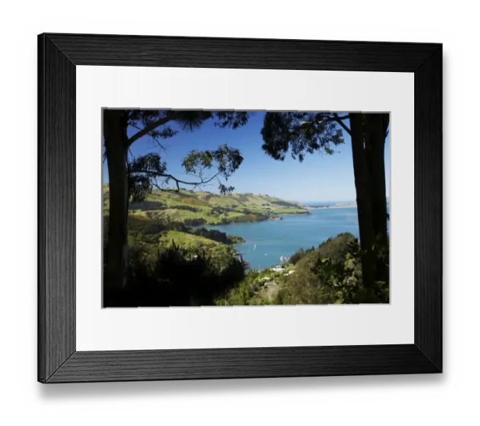 Framed Print : Careys Bay, Otago Harbour, Dunedin, South Island, New Zealand
