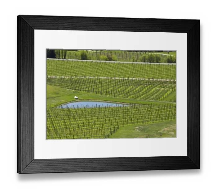 Framed Print : New Zealand Framed Print : New Zealand