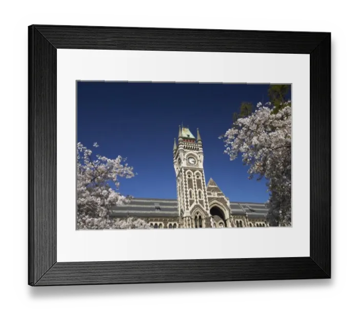 Framed Print : Spring Blossom and Clock Tower, Historical Registry Building, University of Otago