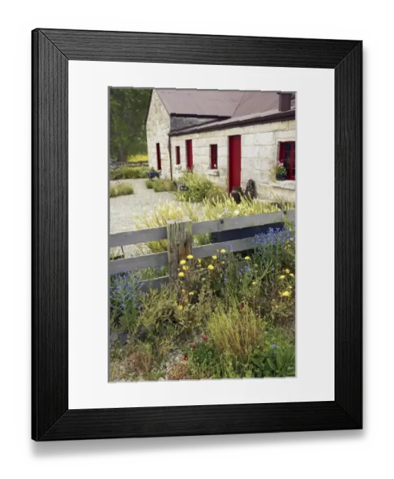 Framed Print : New Zealand
