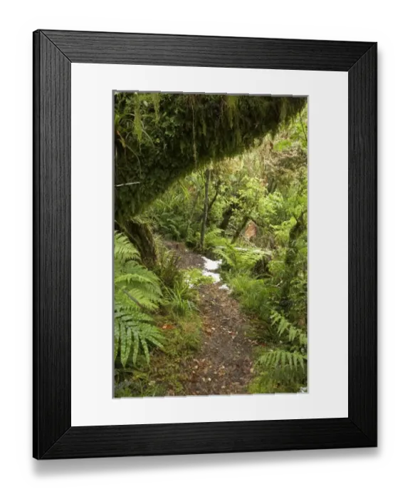 Framed Print : New Zealand Framed Print : New Zealand