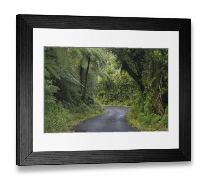 Framed Print : New Zealand Framed Print : New Zealand