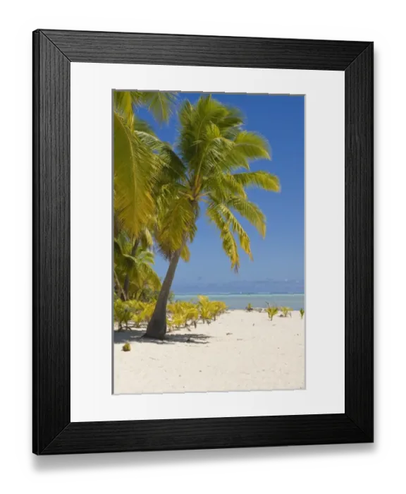 Framed Print : Cook Islands, Aitutaki. Beach on One Foot island Framed Print : Cook Islands, Aitutaki. Beach on One Foot island