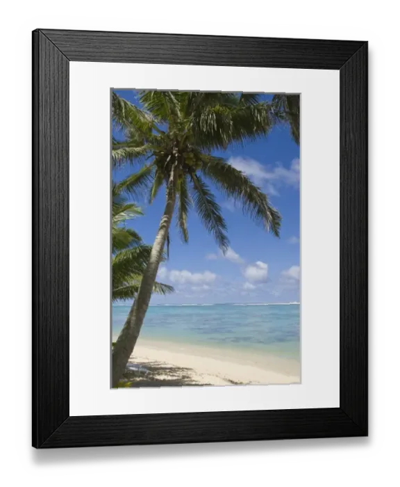 Framed Print : Cook Islands, Rarotonga. Palm fringed beach
