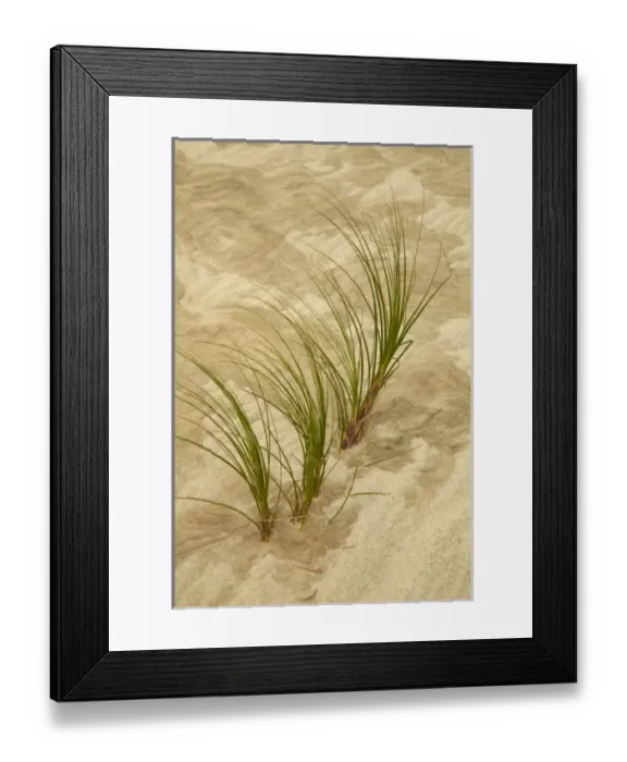 Framed Print : New Zealand Framed Print : New Zealand