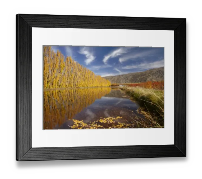 Framed Print : New Zealand