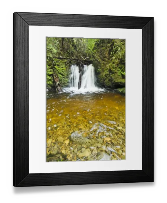 Framed Print : New Zealand Framed Print : New Zealand