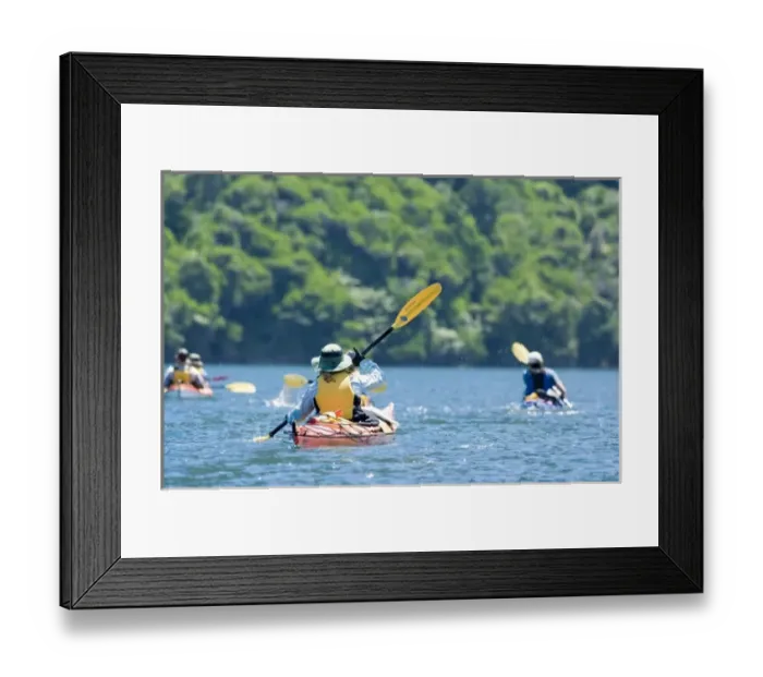 Framed Print : New Zealand, South Island, Marlborough Sounds. Sally Brassill sea kayaking. (MR) Framed Print : New Zealand, South Island, Marlborough Sounds. Sally Brassill sea kayaking. (MR)
