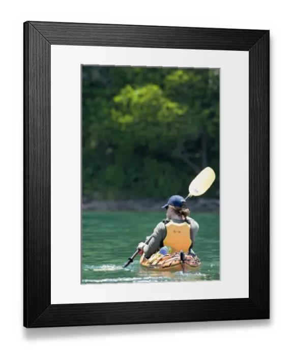 Framed Print : New Zealand, South Island, Marlborough Sounds. Jen Ebel sea kayaking. (MR)