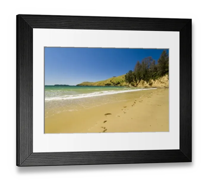 Framed Print : New Zealand, South Island, Marlborough Sounds. Beach at Titirangi Bay Framed Print : New Zealand, South Island, Marlborough Sounds. Beach at Titirangi Bay