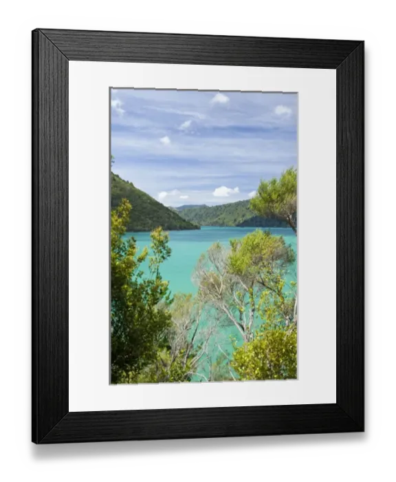 Framed Print : New Zealand Framed Print : New Zealand