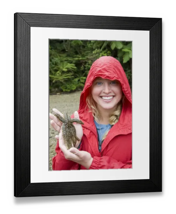Framed Print : New Zealand, South Island, Marlborough Sounds. Joanna Jensen examining a starfish. (MR)