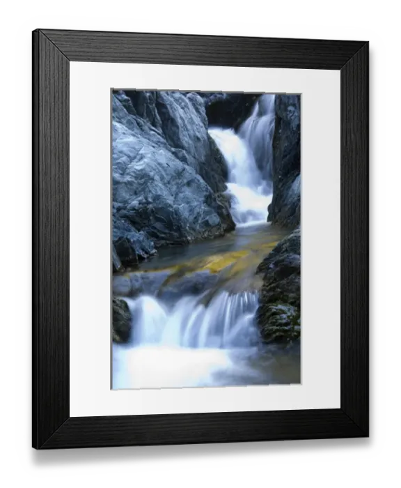 Framed Print : New Zealand, South Island, Arthurs Pass National Park. Crystal clear stream water Framed Print : New Zealand, South Island, Arthurs Pass National Park. Crystal clear stream water
