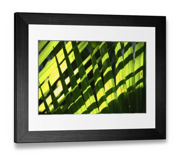 Framed Print : New Zealand Framed Print : New Zealand