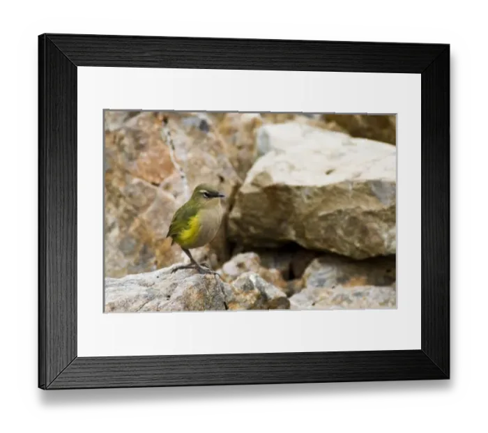 Framed Print : New Zealand Framed Print : New Zealand