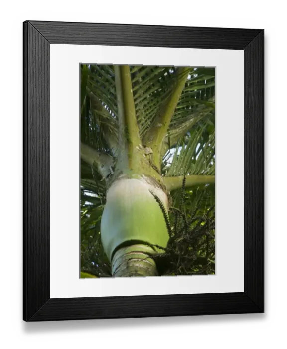 Framed Print : New Zealand Framed Print : New Zealand